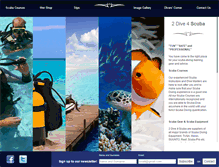 Tablet Screenshot of 2dive4.co.za
